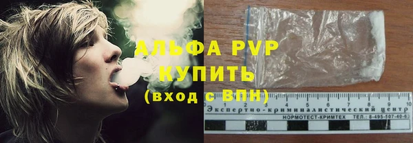 хмурый Дмитров