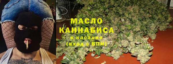 мдма Ельня