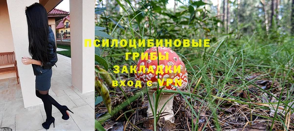 тгк Зеленодольск