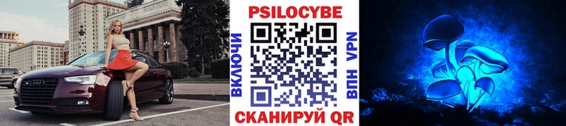 Псилоцибиновые грибы GOLDEN TEACHER  Богданович 